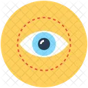 Eye Visibility Human Icon