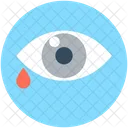Eye Body Organ Icon
