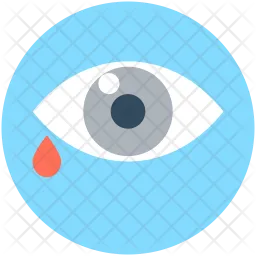 Eye  Icon