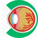 Human Anatomy Eye Icon