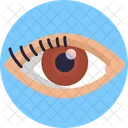Human Anatomy Eye Vision Icon