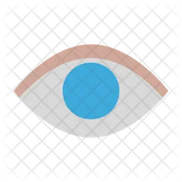 Eye  Icon