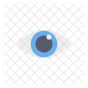 Eye Visible Sight Icon
