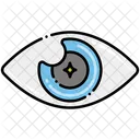 Eye  Icon