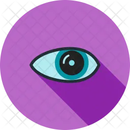 Eye  Icon