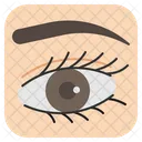 Eye Eyebrow Eyelash Icon