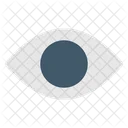 Eye  Icon