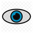 Eye  Icon