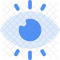 Eye  Icon