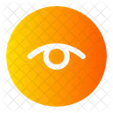 Eye  Icon