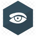 Eye View Eyeball Icon