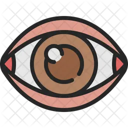 Eye  Icon