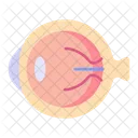 Eye Eyeball Organ Icon