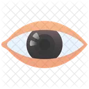 Eye Human Cornea Icon