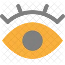Eye Eyeball Eyesight Icon