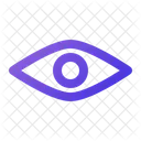 Eye  Icon