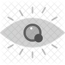 Eye  Icon