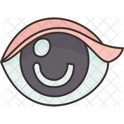 Eye  Icon