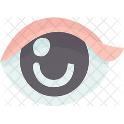 Eye  Icon