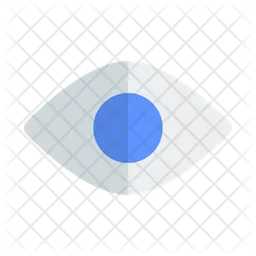 Eye  Icon