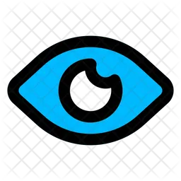 Eye  Icon