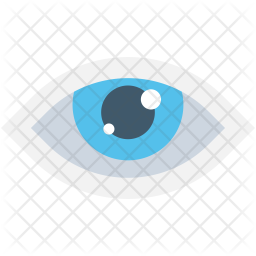 Eye Icon