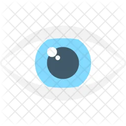 Eye  Icon