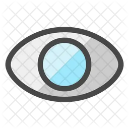 Eye  Icon