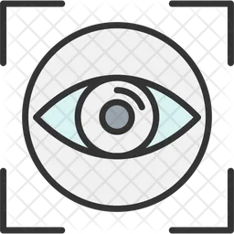 Eye  Icon