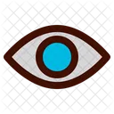 Eye  Icon