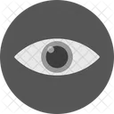 Eye Preview View Icon