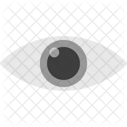 Eye  Icon