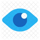 Eye Eyes View Icon
