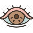 Eye Vision Iris Icon