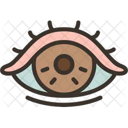 Eye  Icon