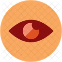 Visual Eye Vision Icon