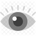 Eye Vision Human Icon