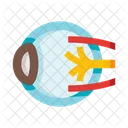 Anatomy Eye Eyeball Icon