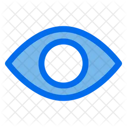 Eye  Icon