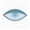 Eye Setting Gear Icon