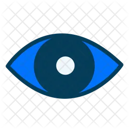 Eye  Icon