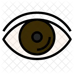 Eye  Icon