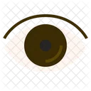 Eye Sight Vision Icon
