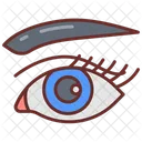 Eye Eyeball Eyelash Icon