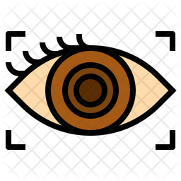 Eye Icon