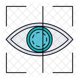 Eye  Icon