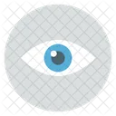 Eye Eyeball Look Icon