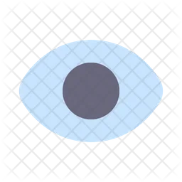 Eye  Icon