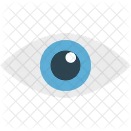 Eye  Icon