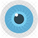 Eye Human Eye View Icon